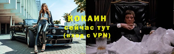 дживик Баксан